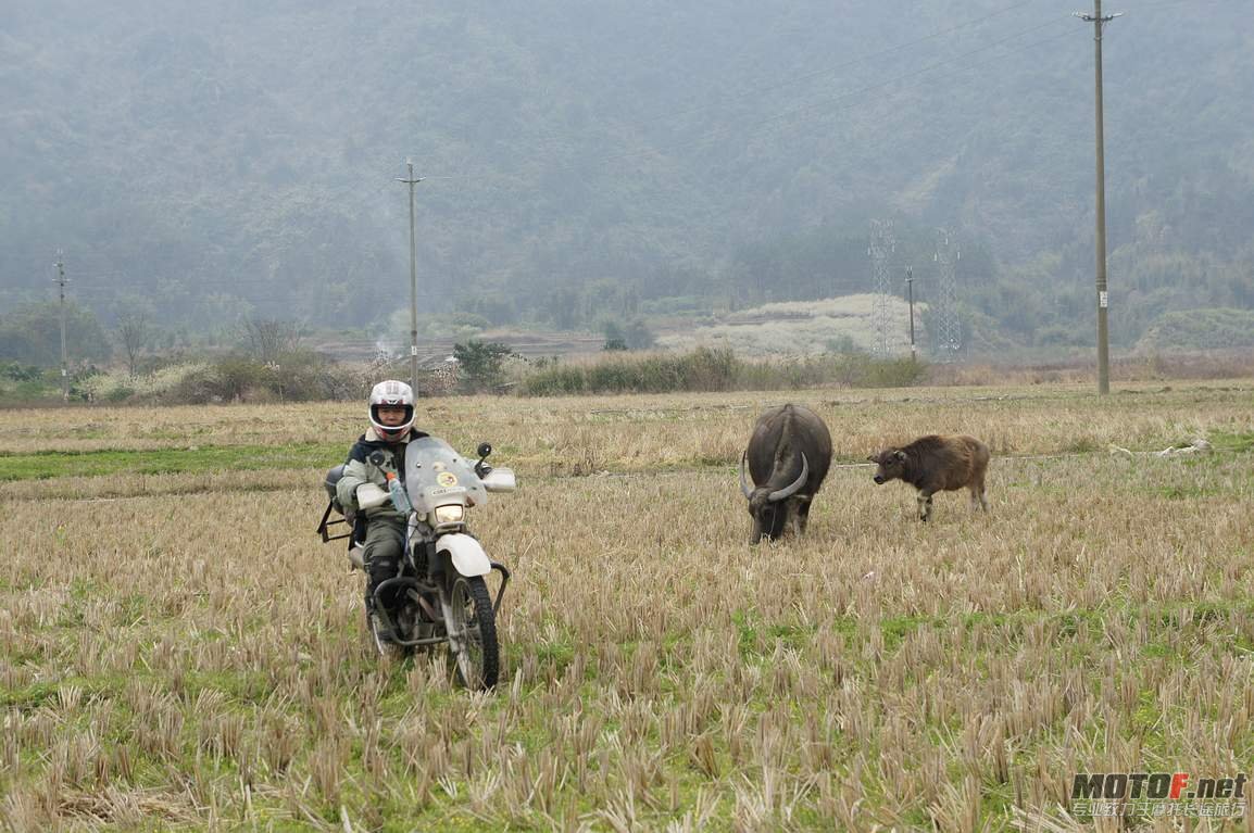 DSC01249.jpg