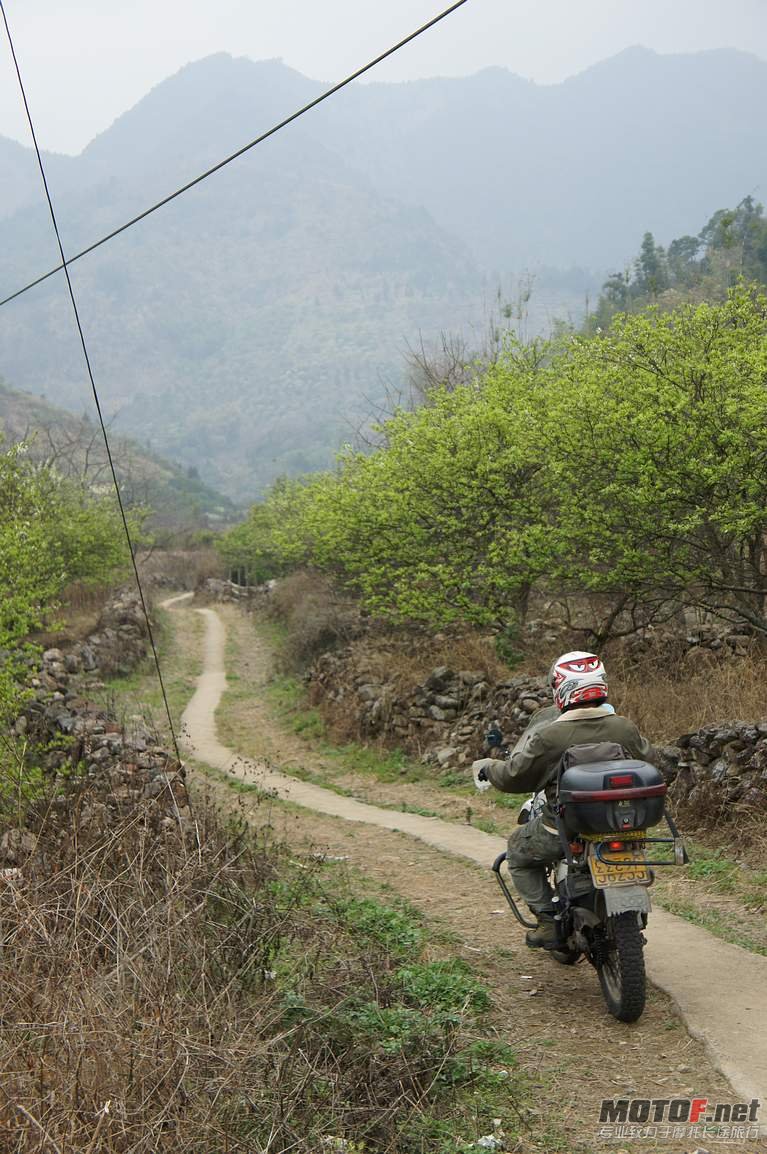 DSC01261.jpg