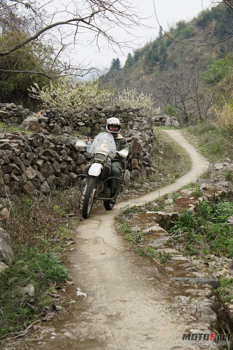 DSC01264.jpg