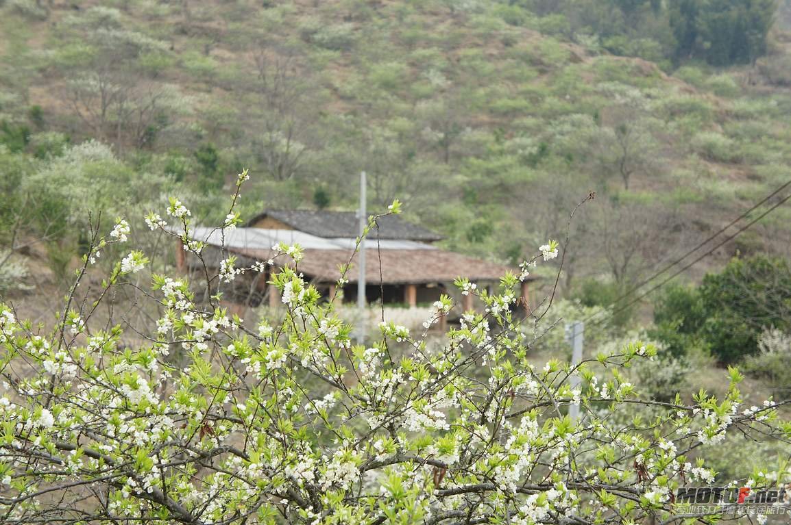 DSC01286.jpg