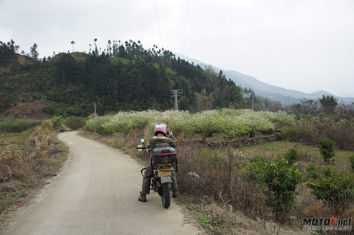 DSC01290.jpg