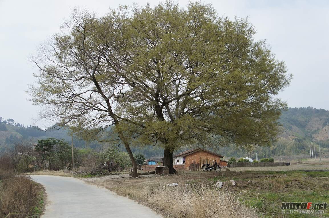 DSC01292.jpg