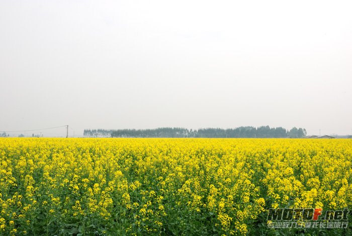 DSC_0637.jpg