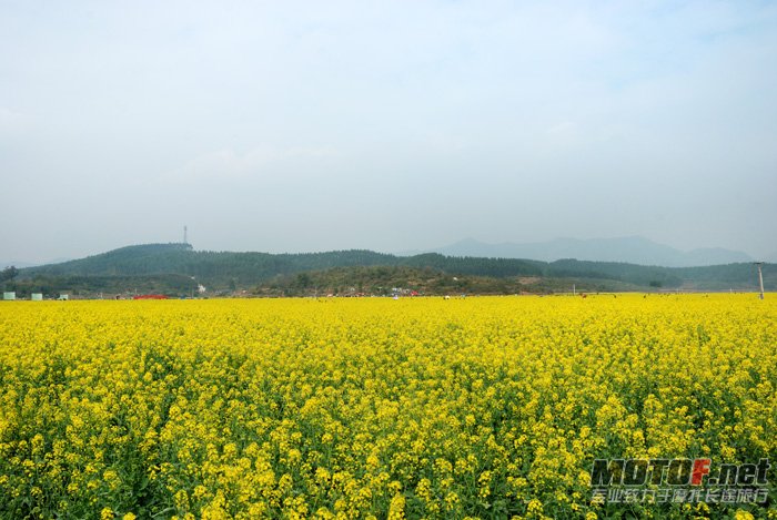 DSC_0639.jpg