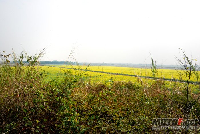 DSC_0694.jpg