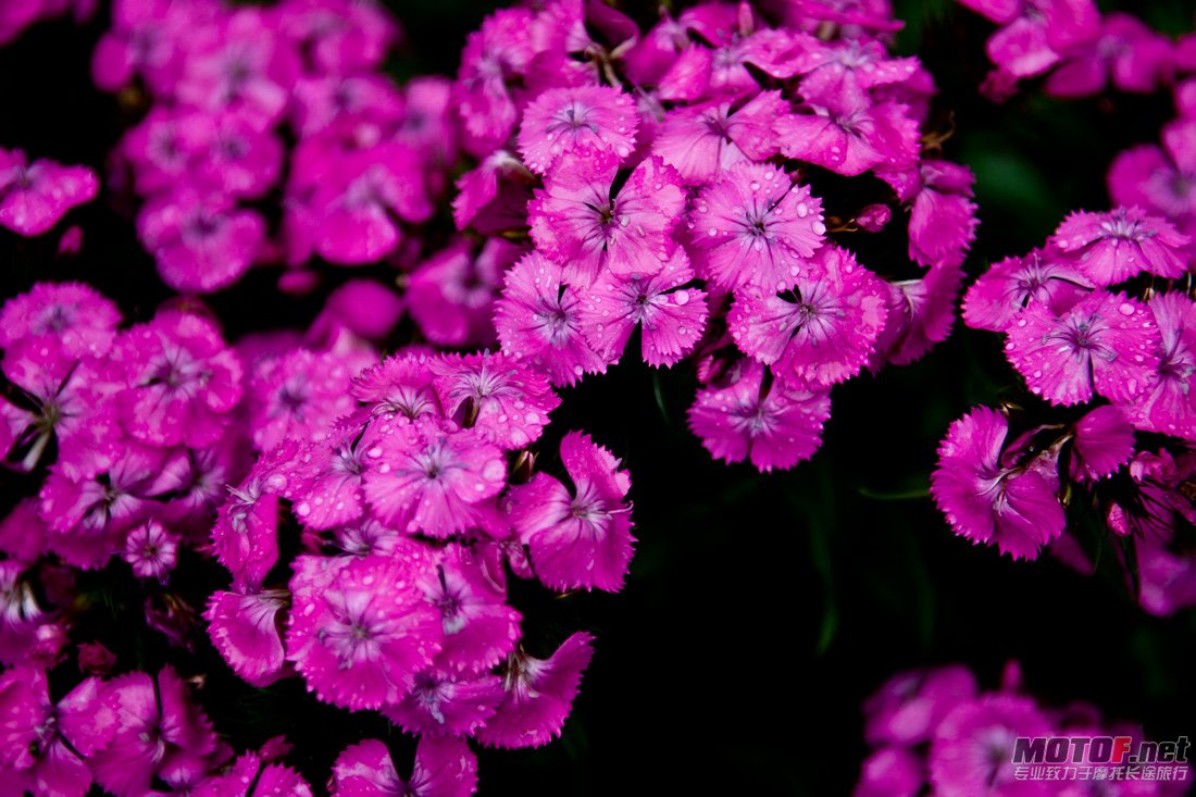 DSC_0717.jpg