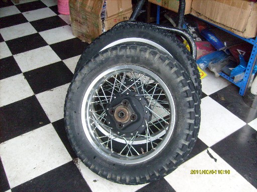 BigBull_S7300081.JPG