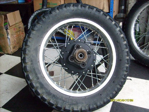 BigBull_S7300066.JPG