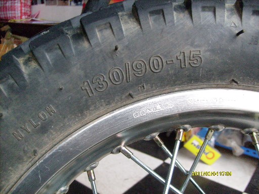 BigBull_S7300067.JPG