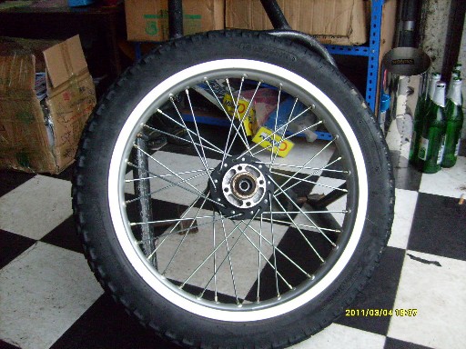 BigBull_S7300074.JPG