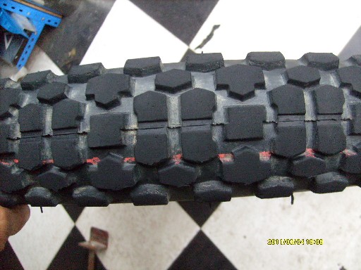 BigBull_S7300080.JPG