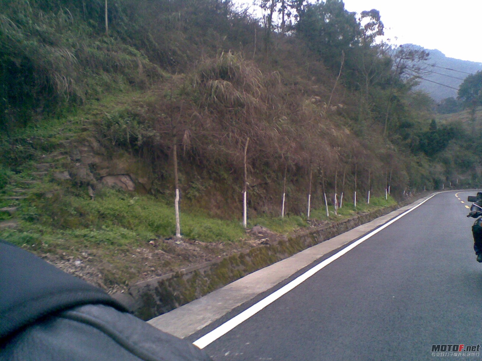20110304(020).jpg