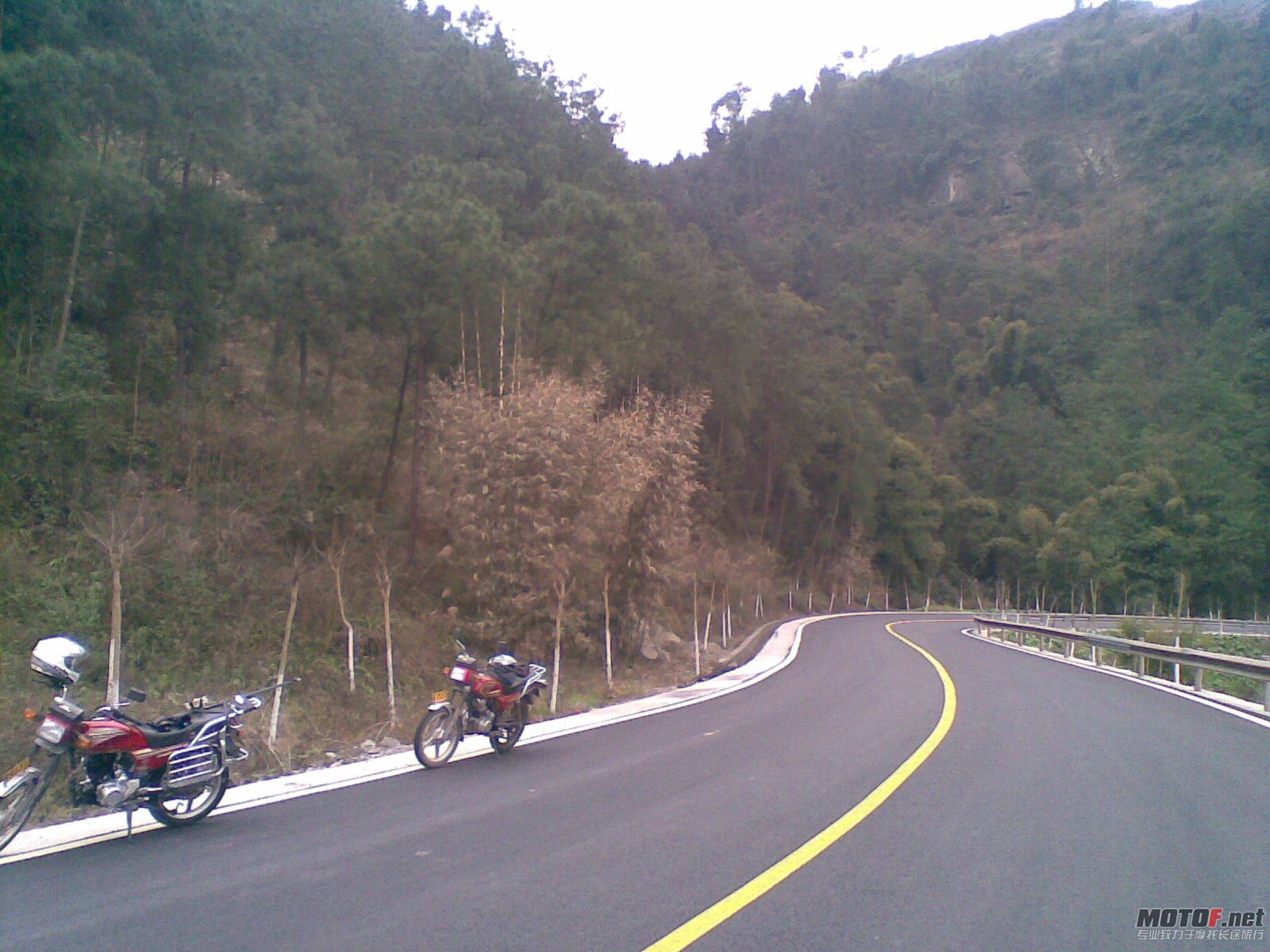 20110304.jpg