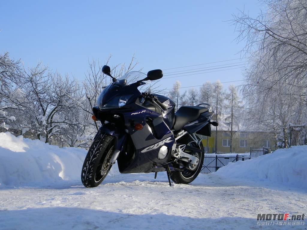 2010-12-06-bikepics-potd.jpg