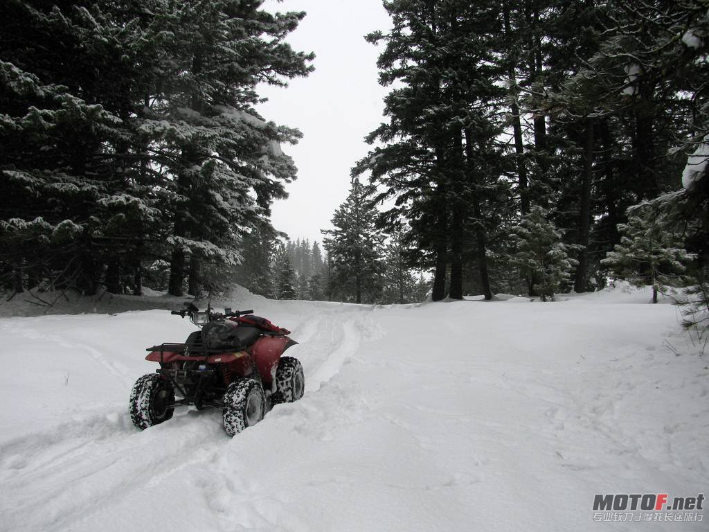 2010-12-12-bikepics-potd.jpg