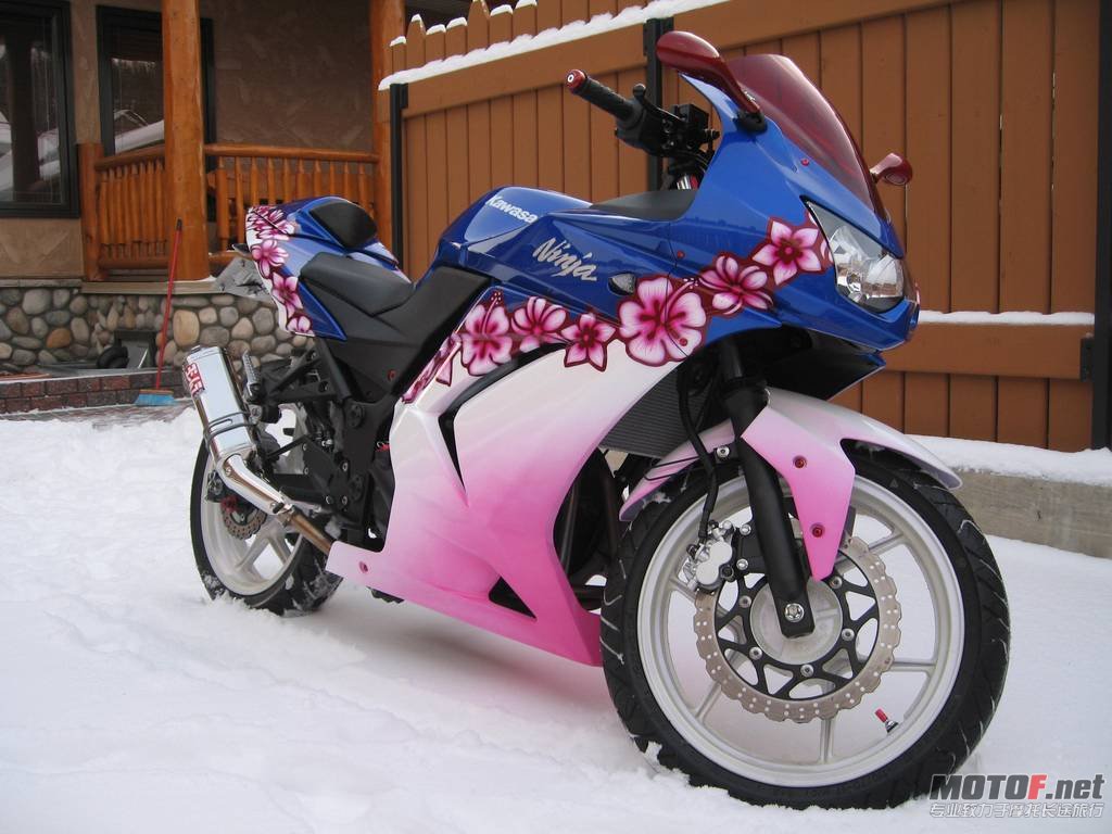 2010-12-14-bikepics-potd.jpg