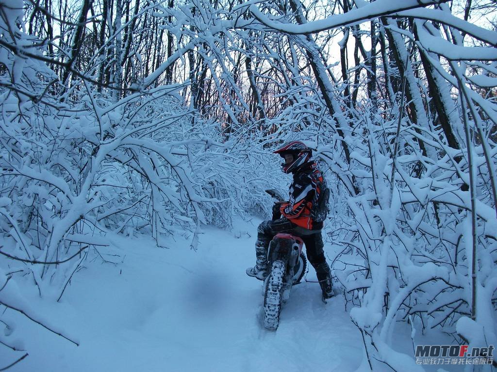 2010-12-27-bikepics-potd.jpg