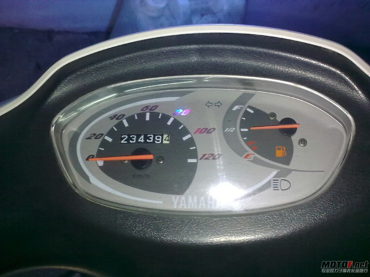 20110305018-001.jpg