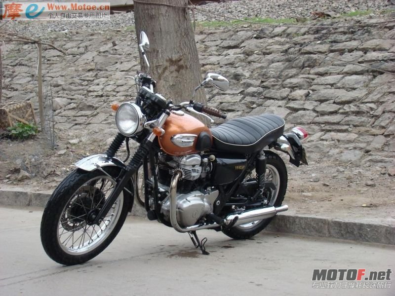 w650.jpg