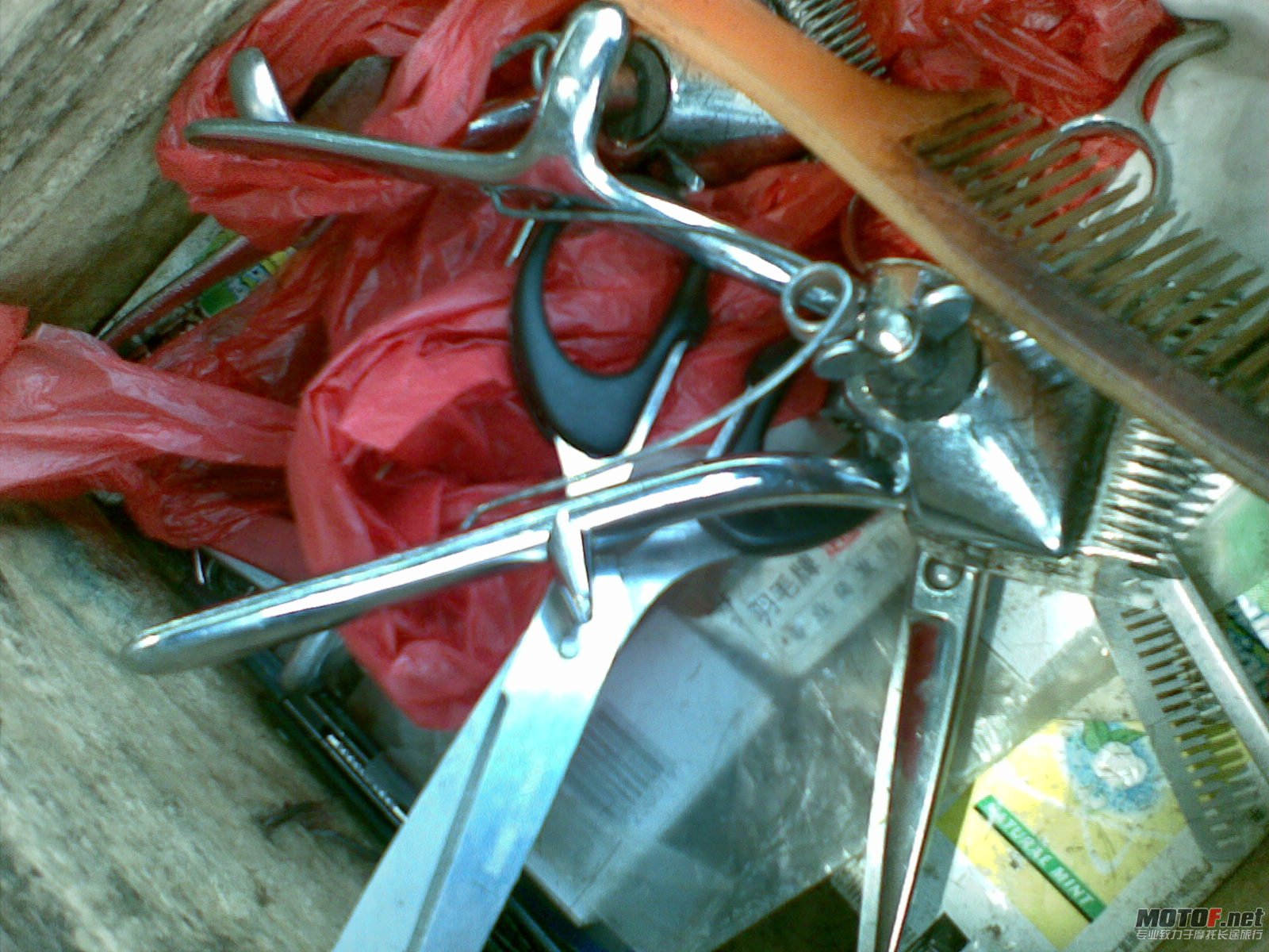 20110224_007.jpg