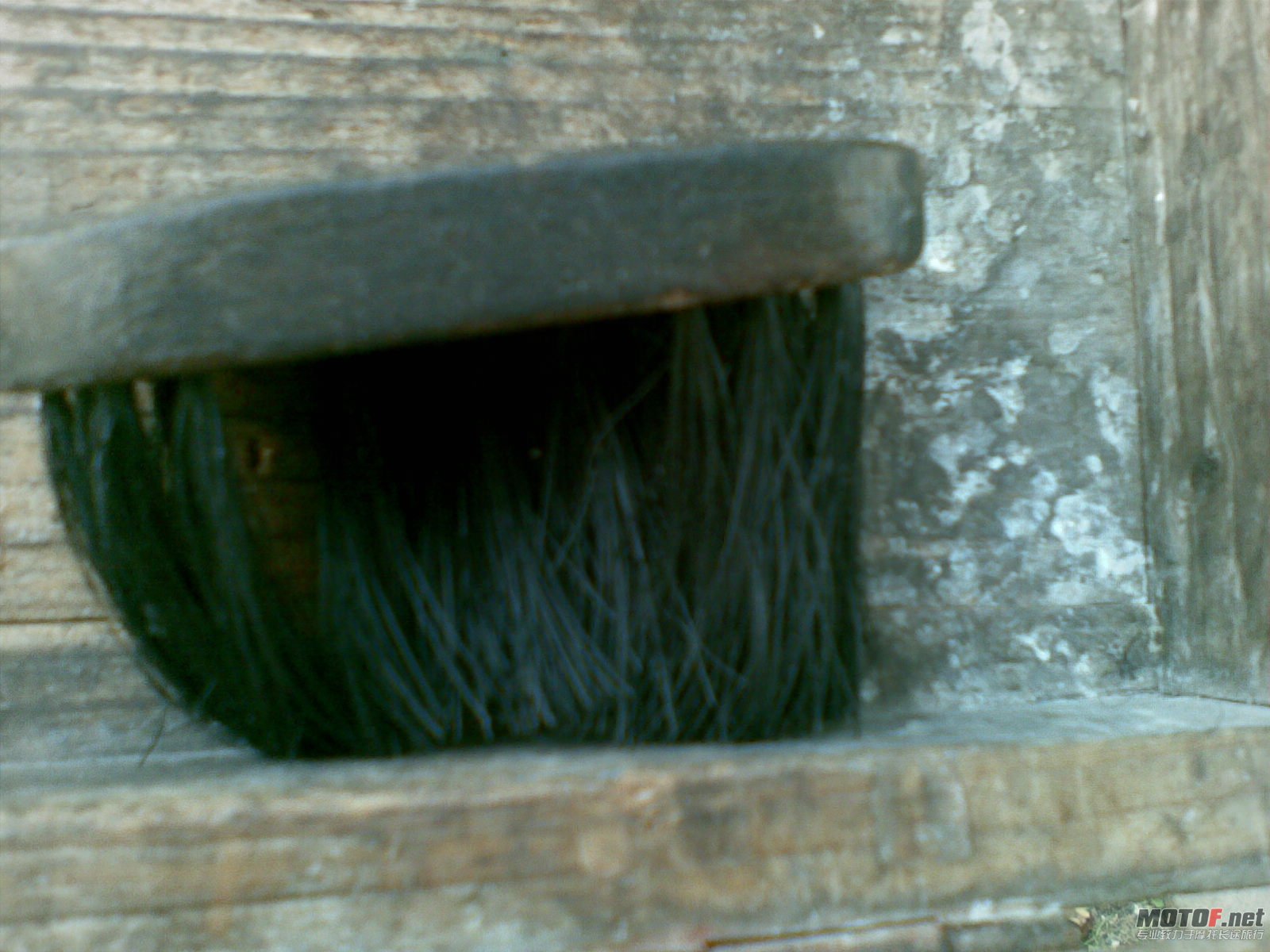 20110224_009.jpg