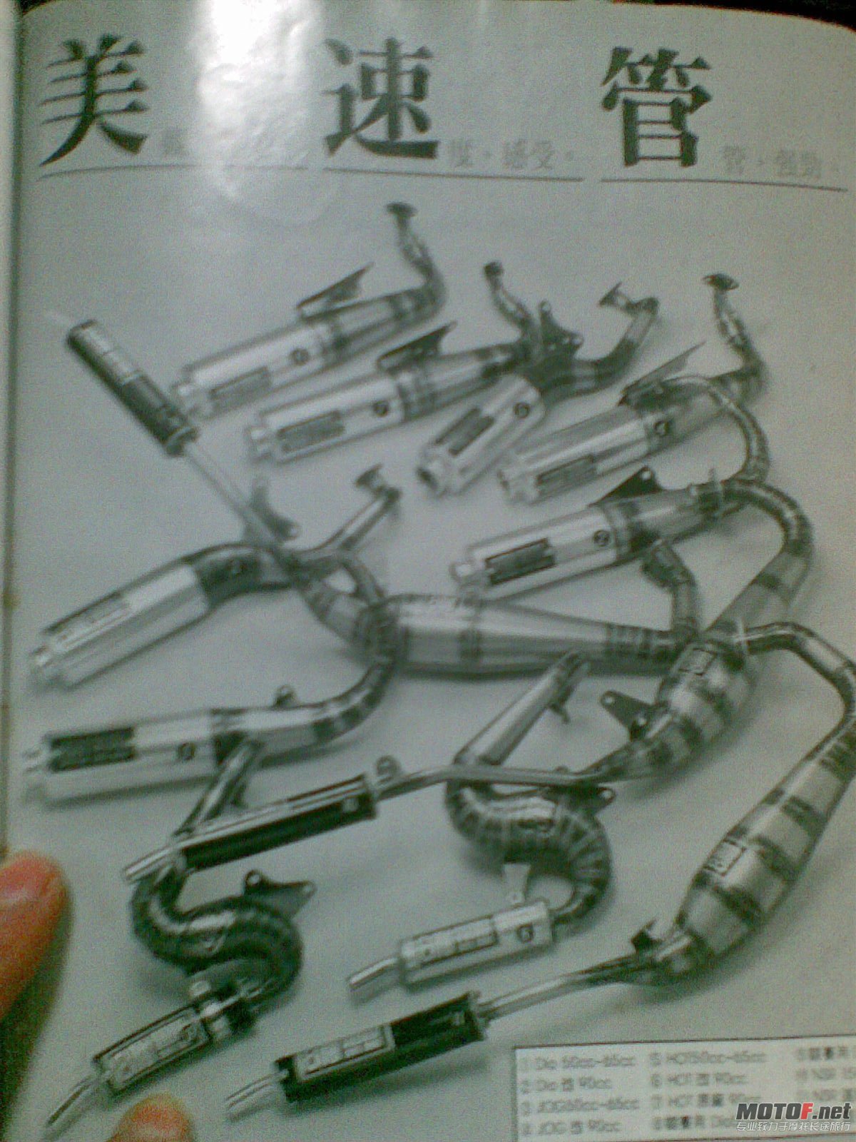 20110308_038.jpg