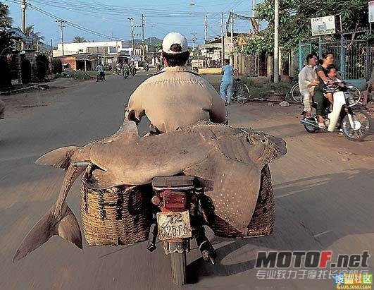疯8.jpg