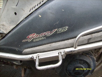 BigBull_S7300110.JPG