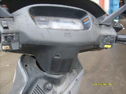 BigBull_S7300115.JPG