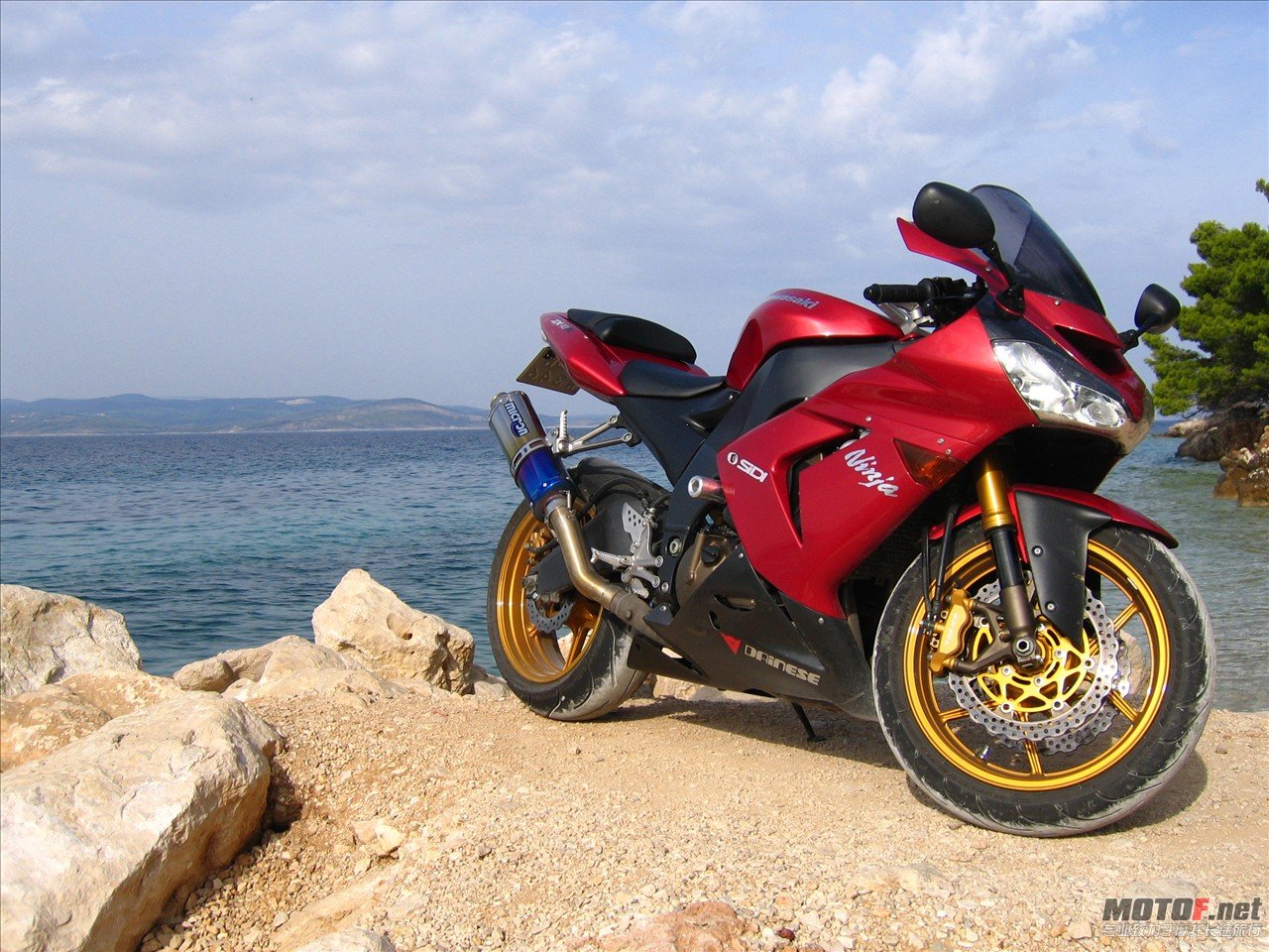 2008-03-04-bikepics-potd.jpg