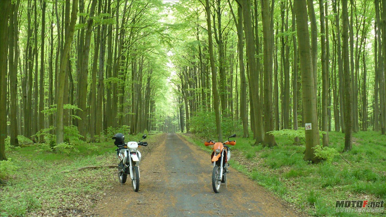 2008-05-06-bikepics-potd.jpg