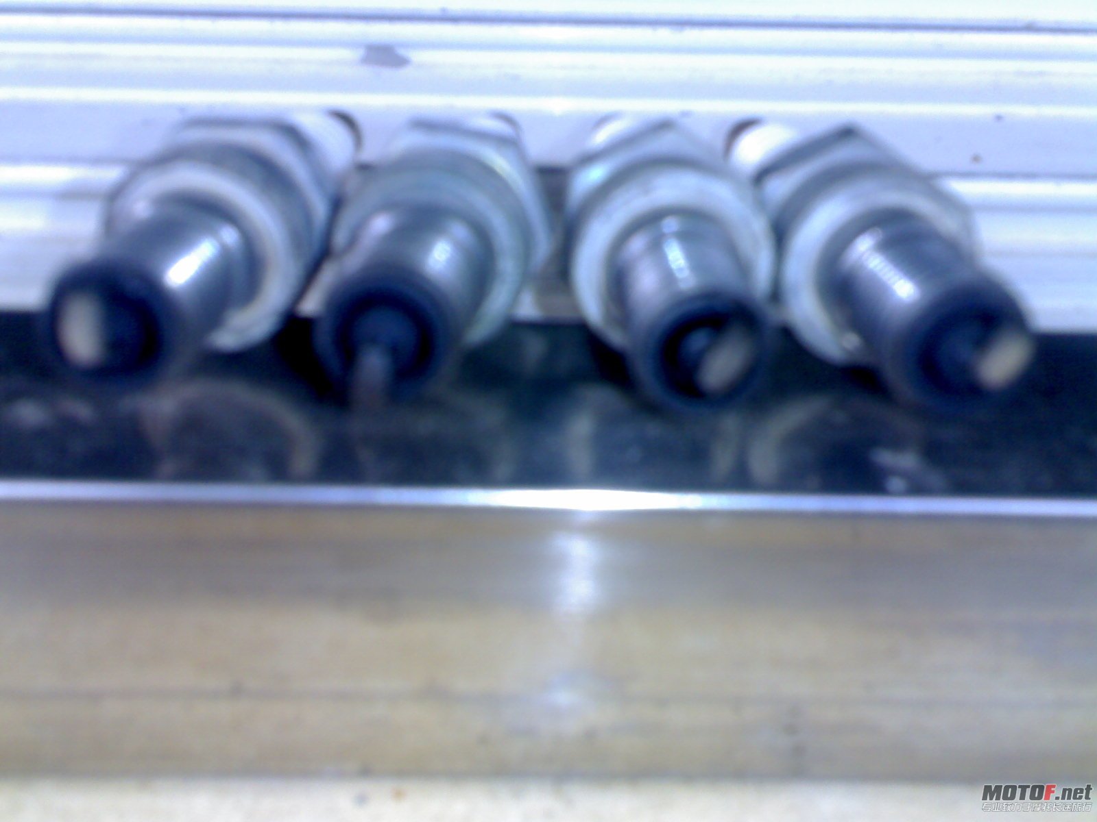 20110314103.jpg