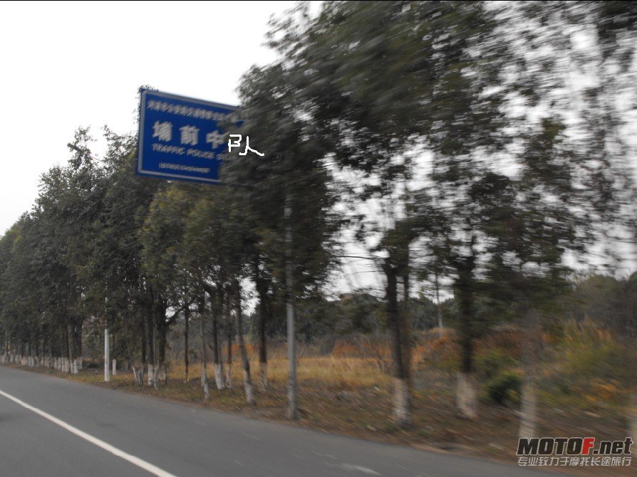 113.jpg