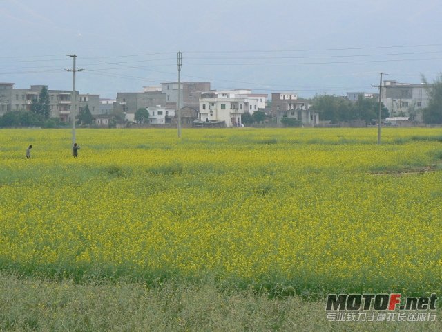 P1160389 (640x480).jpg