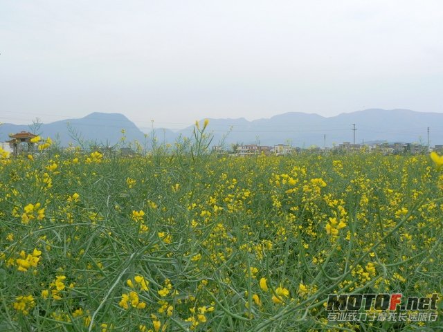 P1160390 (640x480).jpg