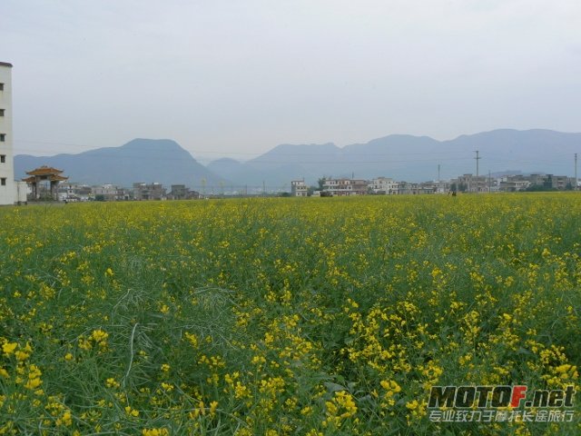 P1160391 (640x480).jpg