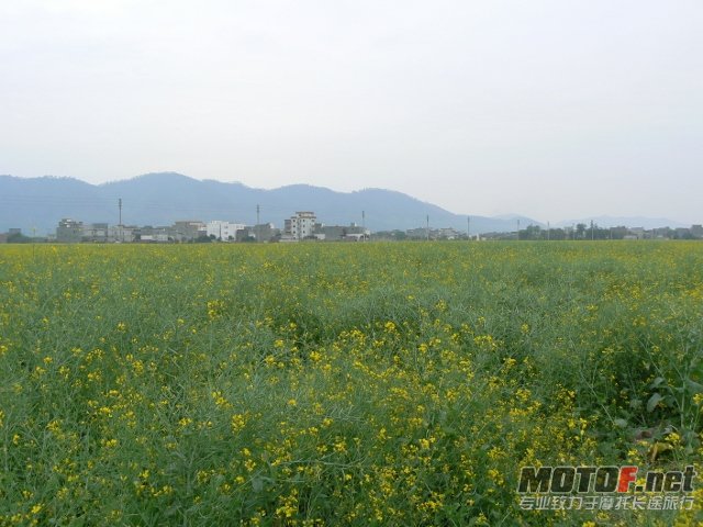 P1160392 (640x480).jpg