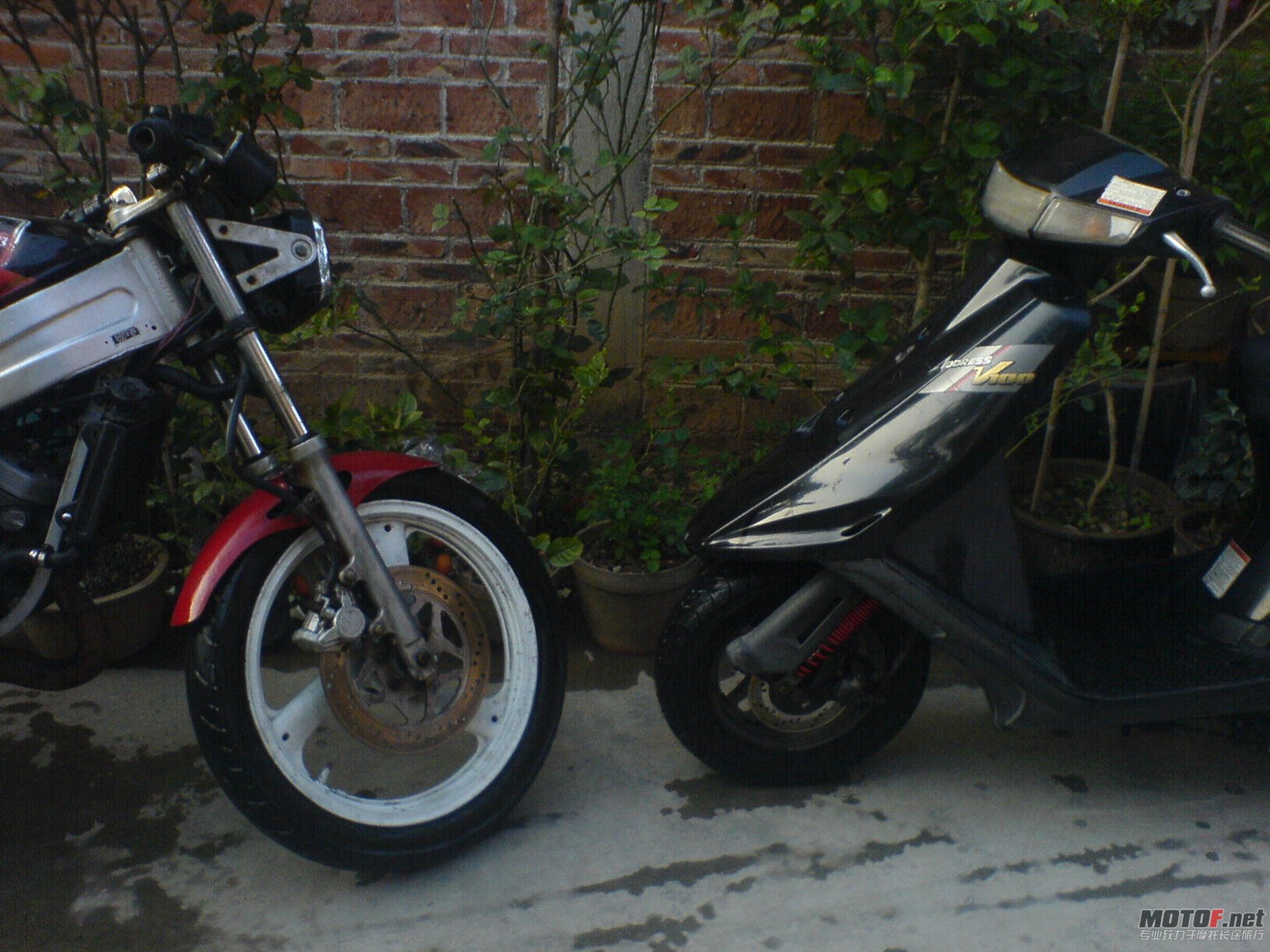 DSC00049.JPG