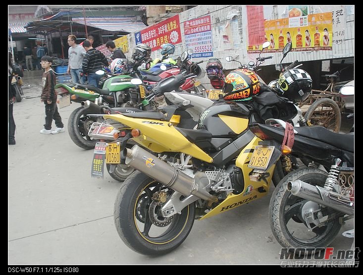 nEO_IMG_DSC02517.jpg