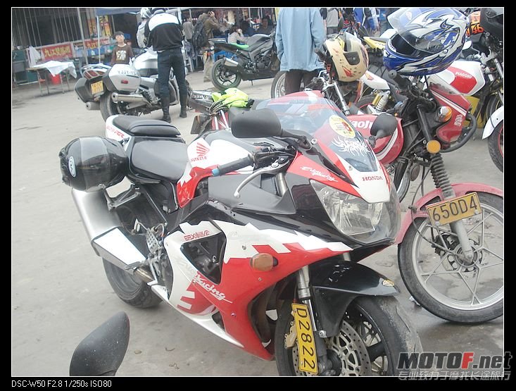 nEO_IMG_DSC02546.jpg