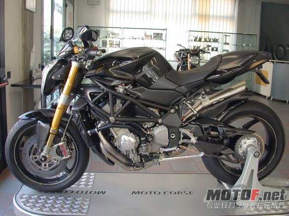 brutale_evo_cr_01.jpg