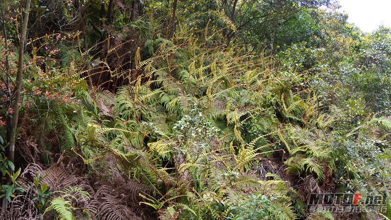 DSCN8811.jpg