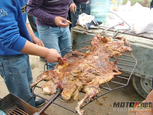 200992013404528653.jpg