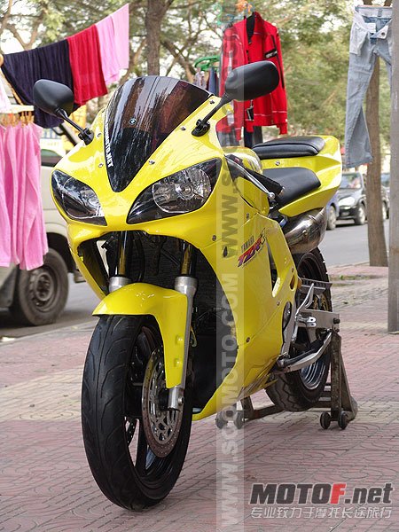 yellowtzr250-r1-05.jpg