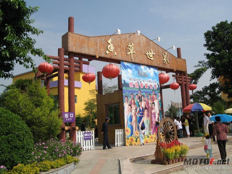 02.JPG