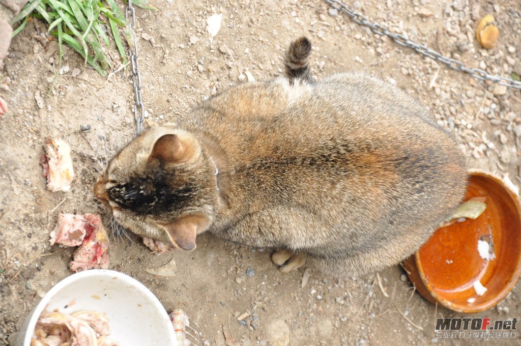 DSC_0832.JPG