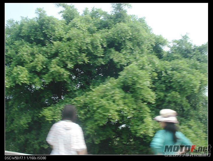 nEO_IMG_DSC02701.jpg