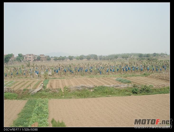 nEO_IMG_DSC02702.jpg