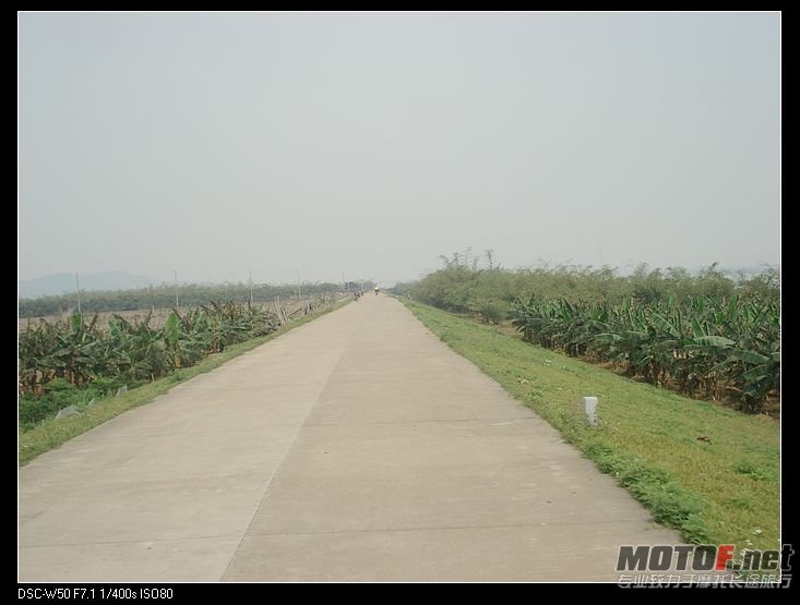 nEO_IMG_DSC02704.jpg