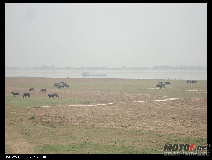 nEO_IMG_DSC02706.jpg